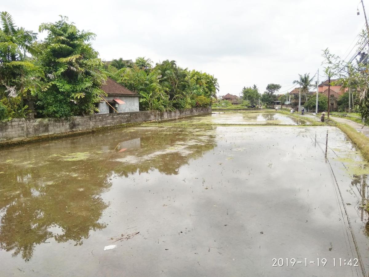 Bhuana Alit 2 Ubud Exterior photo