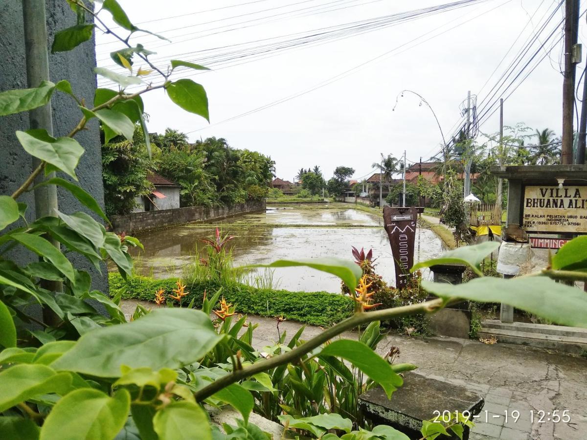 Bhuana Alit 2 Ubud Exterior photo